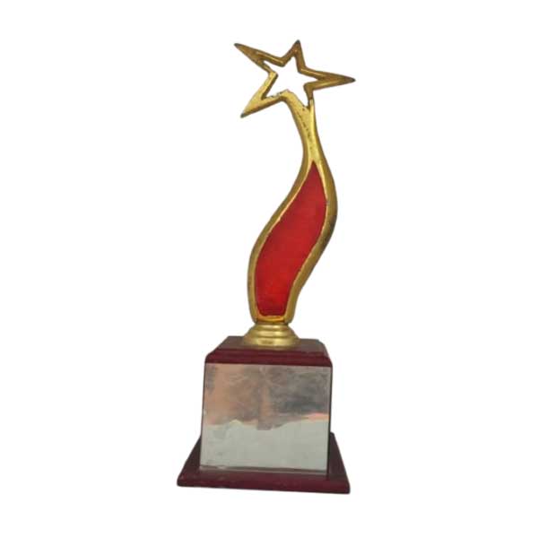 Awards-6